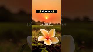 Most Heart Touching Recitation✨❤️#unfreezeviews #quran #quranrecitation #islamic