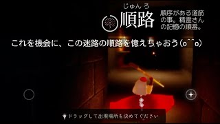 ママ再訪精霊さん解放前日に出来る事《初心者向け》暗室の立体迷路を克服しよう。【Sky 星を紡ぐ子どもたち】煌きを放つ親