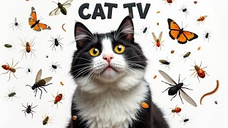 Cat Games | Fun Games to Entertain Your Cat | 3HOURS | Episode 36🐢🐢🐢🐍🐍🐍