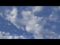 LEE BURRIDGE & LOST DESERT Feat Junior   LINGALA (Radio Edit)