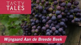 WIJNGAARD AAN DE BREEDE BEEK (Nijkerk) • Sustainable winegrowing in The Netherlands • Tasty Tales