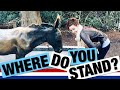 DEMOCRAT vs. REPUBLICAN - Explained | What's the difference between republicans and democrats?
