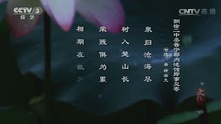 本期主题：柳宗元  【文化大百科 20151216】超清版