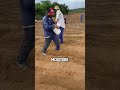 cassava farmers use chainsaws to cut stems for the purpose of growing cassava shorts