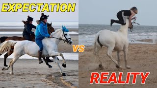 Expectation VS Reality | Equestrian Version 2