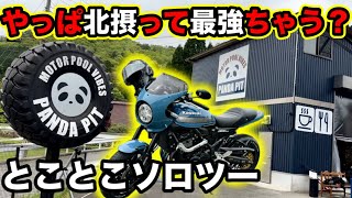 【北摂】やっぱり最強！ええお店がいっぱい🩷【PANDA PIT】