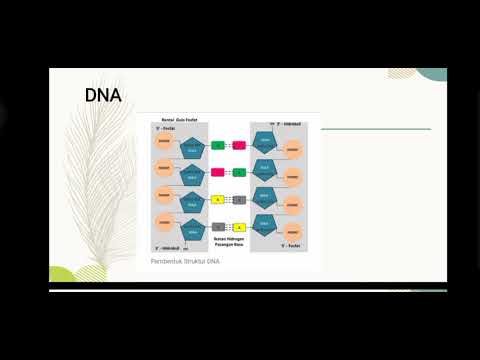 PRINSIP DASAR BIOLOGI MOLEKULAR DAN DATABASE BIOLOGI - YouTube