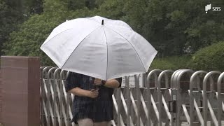 【台風7号】15日夜にかけ警報級の大雨の恐れ　気象台は土砂災害などに警戒呼びかけ