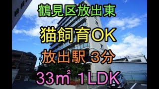 鶴見区放出東 １LDK 猫飼育OK 駅近徒歩３分 賃貸マンション ペット可