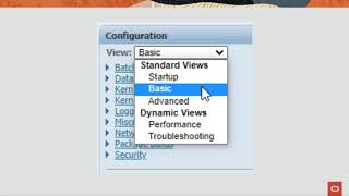 Virtual Batch Queues