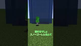 水の中で出るゴーレムはどっち？【マイクラ】#noface#マイクラ #マインクラフト#minecraft #shorts #short