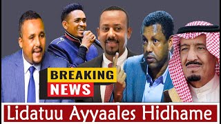 AGM: Haala amma Jiruun Ethiopian Garaa Diigamutti Deemaa Jirti.