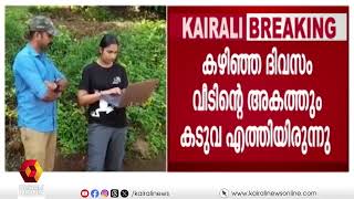 കടുവയെ കെണിയിലാക്കാനായില്ല; വയനാട്‌ പനവല്ലിയിലെ കടുവയെ മയക്കുവെടി വയ്ക്കും |wayanadu | forest |