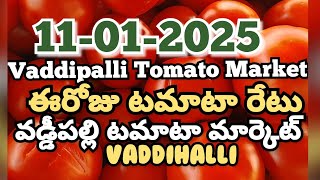 Vaddipalli Tomato Market🍅|ఈరోజుటమాటారేటు|#TodayTomatoRateInVaddipalli|11-01-2025|@ckgowthamvlogs