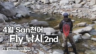 [Flyflanet 166] 4월 산천어 플라이 낚시(오직 드라이) #드라이 #Dryfly #flyflanet