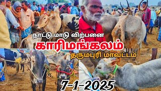 7-1-2025 காரிமங்கலம் மாட்டு சந்தை 🥰 நாட்டு மாடு விற்பனை தருமபுரி மாவட்டத்தில் karimangalam market