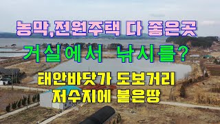 [매물1212]태안바닷가 도보거리 정원에서 낚시 가능한 그림좋은 위치.농막이나 전원주택지로 강추[서산태안 현대공인중개사무소]