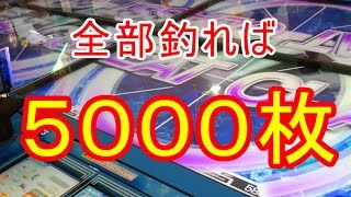 コレクションボーナスチャレンジ５★釣りスピリッツ