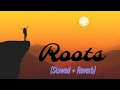 Roots || Punjabi song || Slowed & reverb || bollywood lyrics library