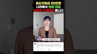 정부 효도지원금 현금 20만원 신청하기!!