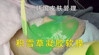 韩国皮肤管理——积雪草凝胶软膜  피부미용사