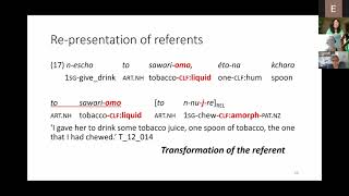 The discourse functions of Mojeño Trinitario classifiers in verbs