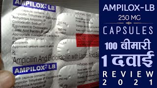 Ampilox Lb Capsules | Ampicillin And Bicloxacillin With Lactic Acid Bacillus 250 Mg Capsules Review