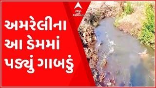 અમરેલીઃ બગસરાના આ ગામમાં ચેકડેમમાં પડ્યું મોટું ગાબડું, હજારો લિટર પાણીનો થયો વેડફાટ