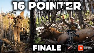 16 POINTER - FINALE - A Quality Elk Hunt in WA State