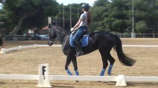 Training - Canter