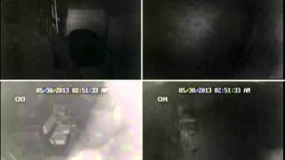 Rickey Stokes News: DPD Seeking Help in Identifying Three Subjects