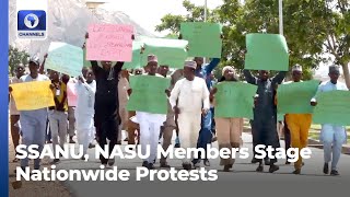 SSANU, NASU Members Stage Nationwide Protests Over Withheld Salaries