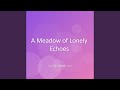 A Meadow of Lonely Echoes