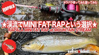 【Rapala】MINI FAT RAPを渓流で使ってみた!語ってみた! 【渓流釣り】【FISHING×MUSIC】