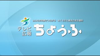 外国人の不法就労対策（2021年12月10日号）