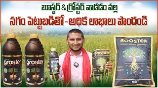 సగం పెట్టుబడితో - అధిక లాభాలు పొందండి || Organic Fertilizer || Booster || Groster || Agriculture