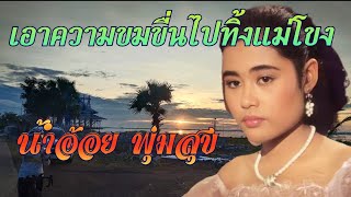 เอาความขมขื่นไปทิ้งแม่โขง น้ำอ้อยพุ่มสุข