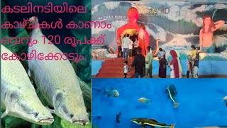 MIRACOLO AQUASHOW, കടലിനടിയിലെ വിസ്മയം നടന്നു കാണാം വെറും 120 രൂപക്ക് കോഴിക്കോട്