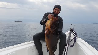 Ψαροντούφεκο Ροφός 12,6kg + 2 βολές 3 ψάρια✌Spearfishing big dusky grouper 2 shots 3 fishes✌