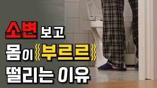 소변보고 나면 왜 몸이 부르르 떨릴까? | Sci Friends