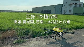 ALIGN T22 Agricultural Drone Flying and Operating in Paddy Farm / 亞拓T22植保機水稻作業