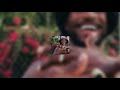 Ruger, Bnxn - POE (sped)