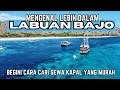 PANDUAN LABUAN BAJO | Eps. 2 INFO SEWA KAPAL PHINISI & SPEED BOAT