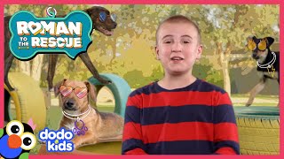 Roman + @txunamy Create Sweet Adoption Video | Roman To The Rescue | @disneyxd x @TheDodoKids