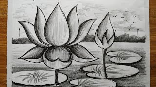 how to draw a lotus flowers very esy step with pencil for beginners,pencil sketch scenery drawing,