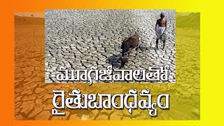 #Rayalaseema #VinodiniMadasu #drought రాయలసీమ రైతు వ్యధపై వెంకటకృష్ణ కవిత | వినోదినిమాదాసు పరామర్శ