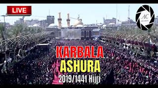 ASHURA (10th Muharram) in KARBALA 2019 / 1441 Hijri | Karbala 10 Muharram 2019