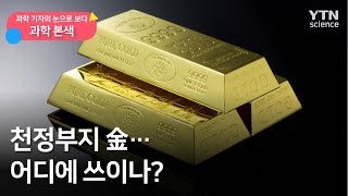 [과학본색①] 천정부지 金…어디에 쓰이나?  / YTN 사이언스