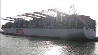 OOCL GERMANY (Container ship) IMO 9776183 - Jade Weser Port