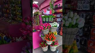 Exploring Amsterdam's Iconic Floating Flower Market! #youtubeshorts #shorts #netherlands #amsterdam